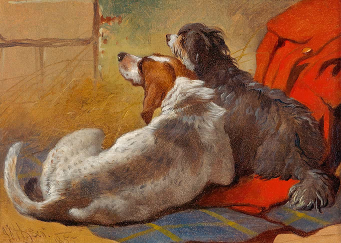 A Hound and a Collie