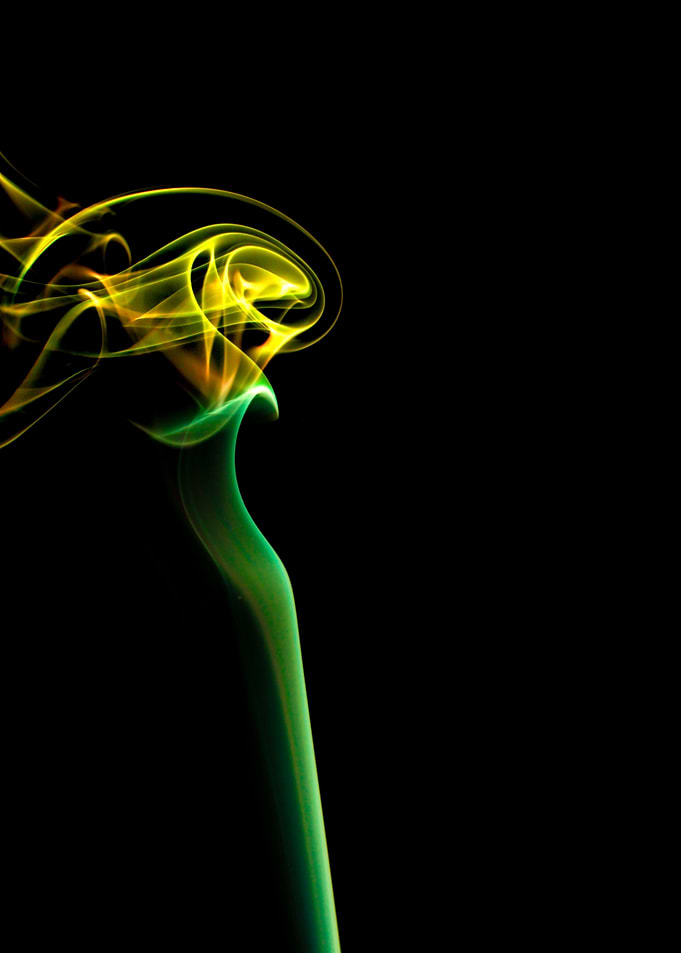 Blooming Flower Abstract