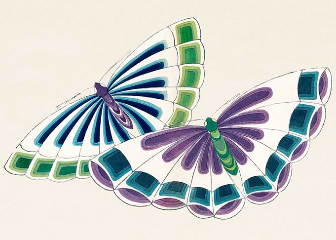 Japanese butterfly