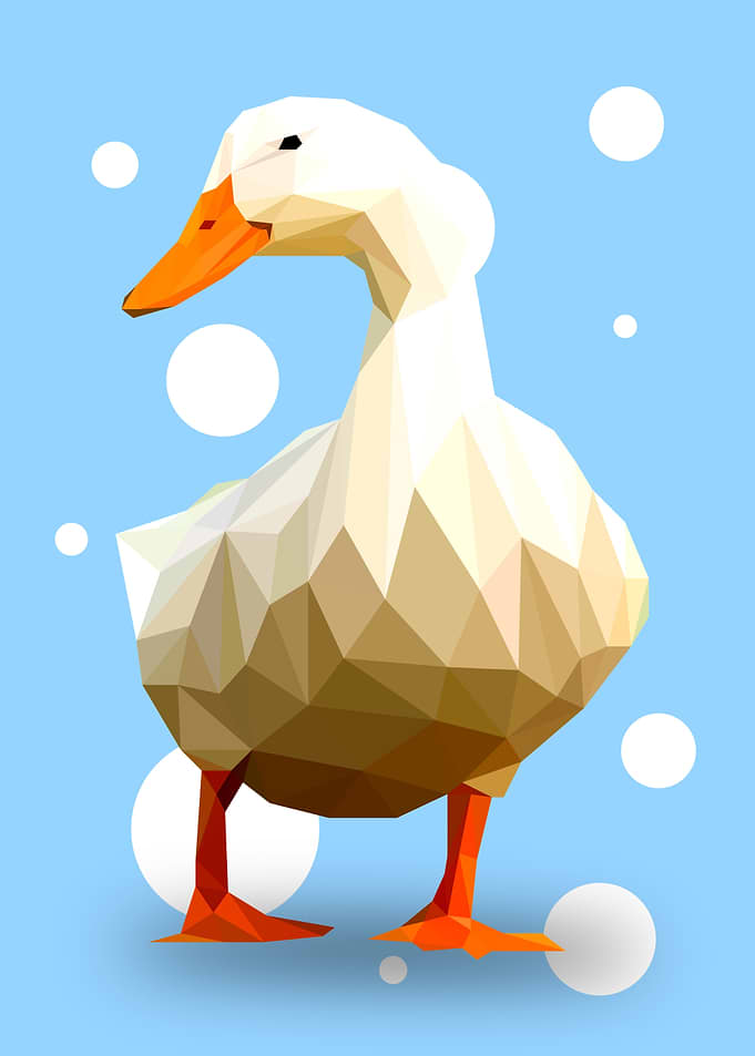 Duck