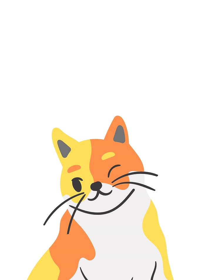 Cat eye blink