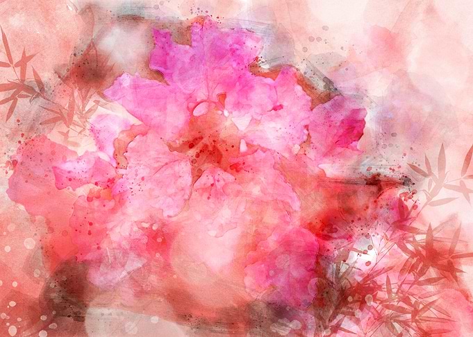Pink overflow