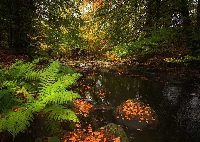 Mystic Lake