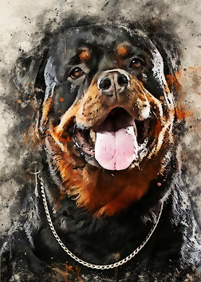 Funny Dog