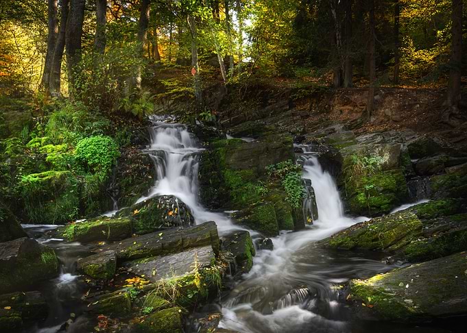 Fairy Water