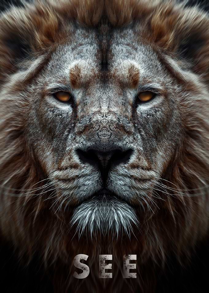 Lion king see season art