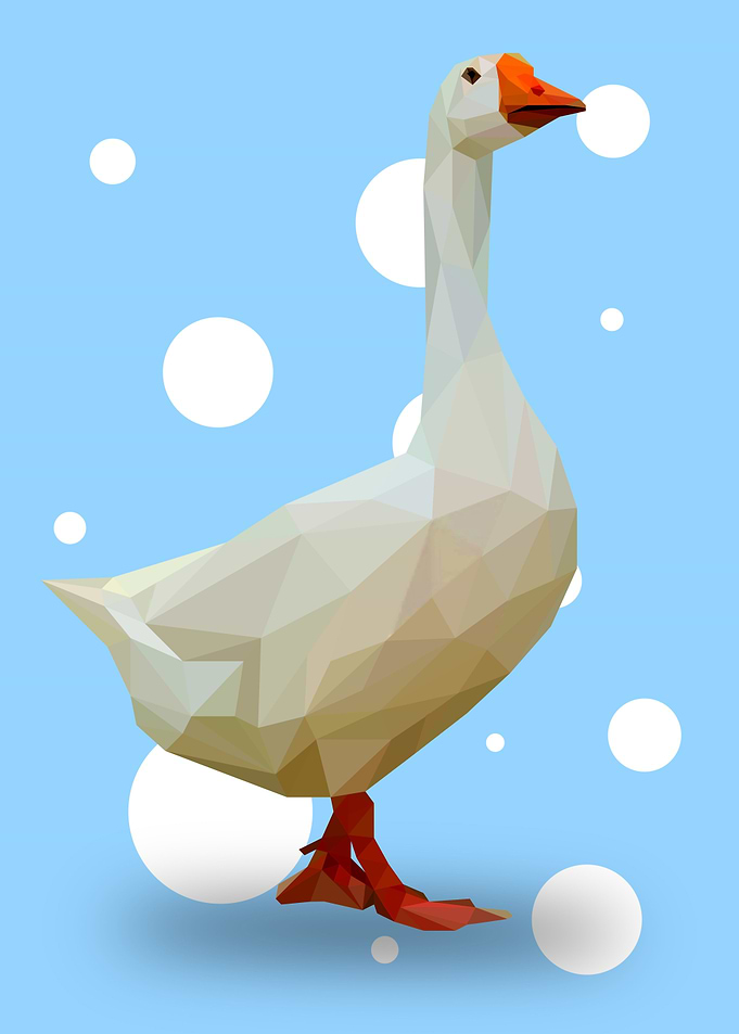 Goose