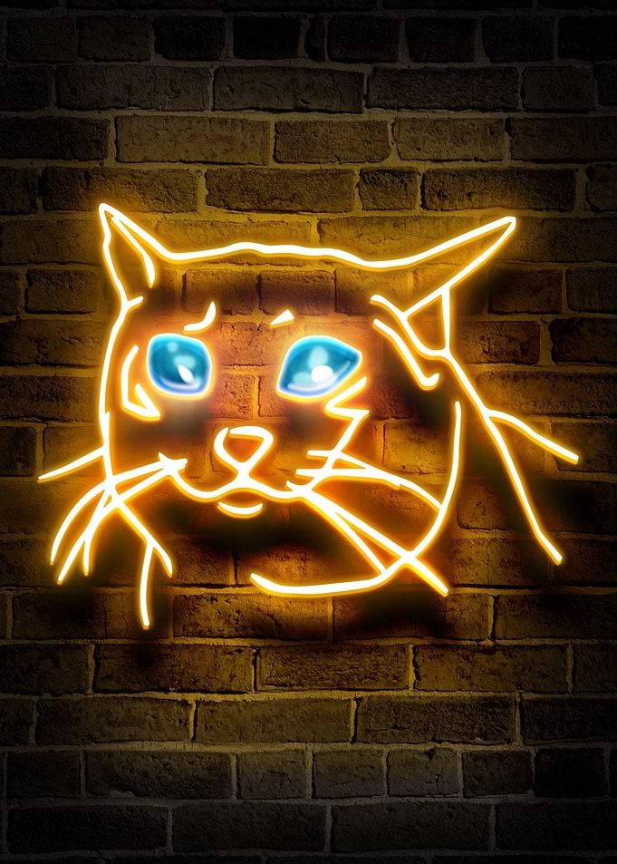 Crying Cat meme