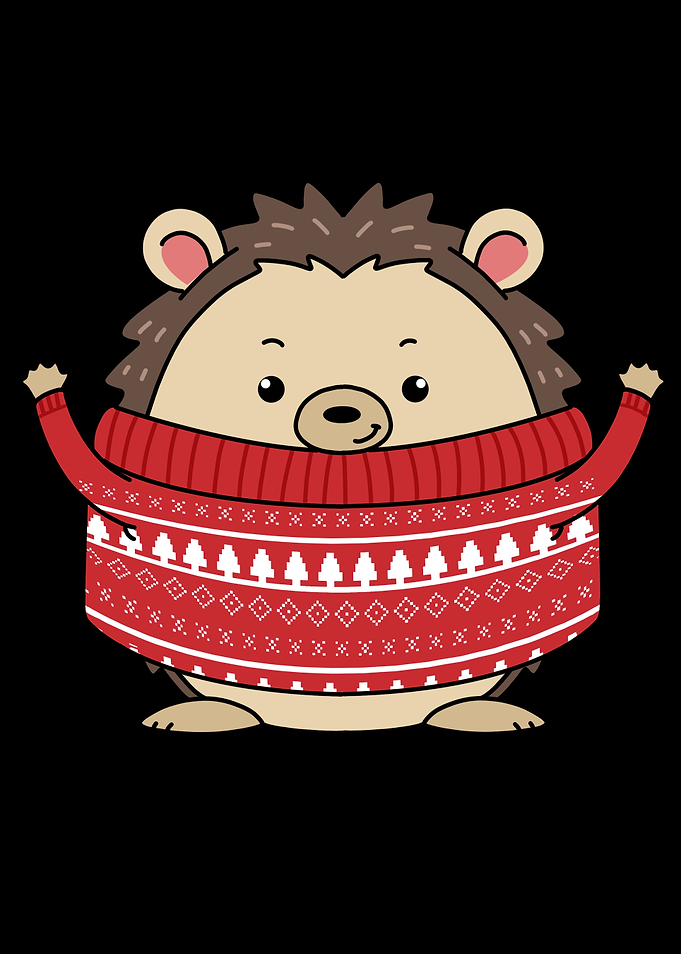 Cute Christmas Hedgehog