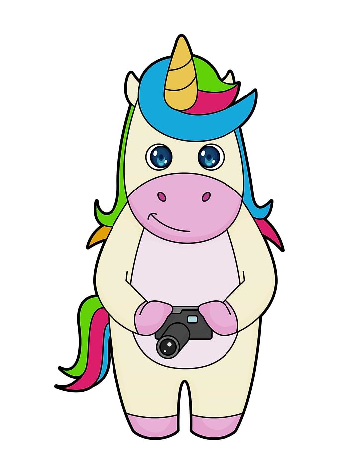 Unicorn Photographer