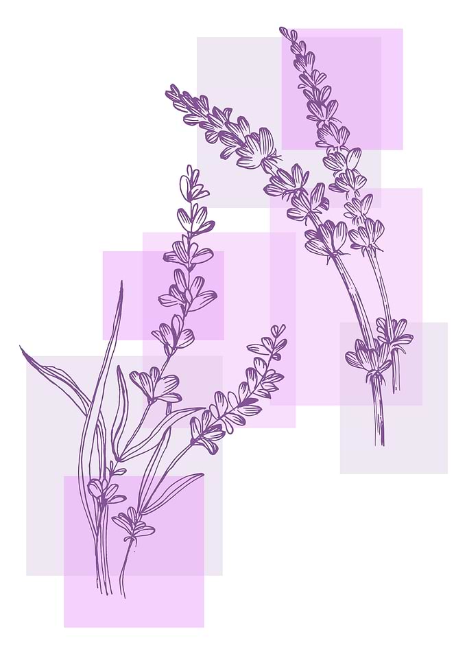 Lavender Minimalist Gard