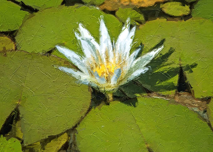 Amazon flower