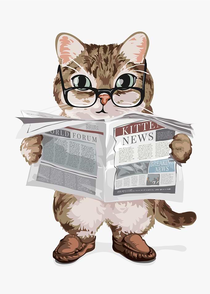 Fun with cats 26