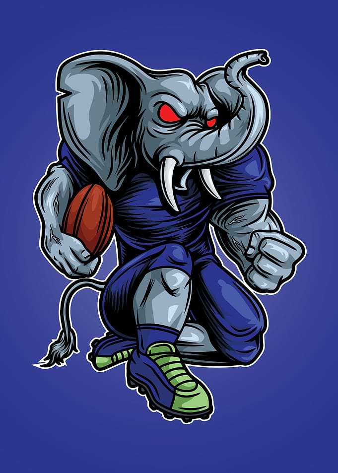 Elephant mascot football