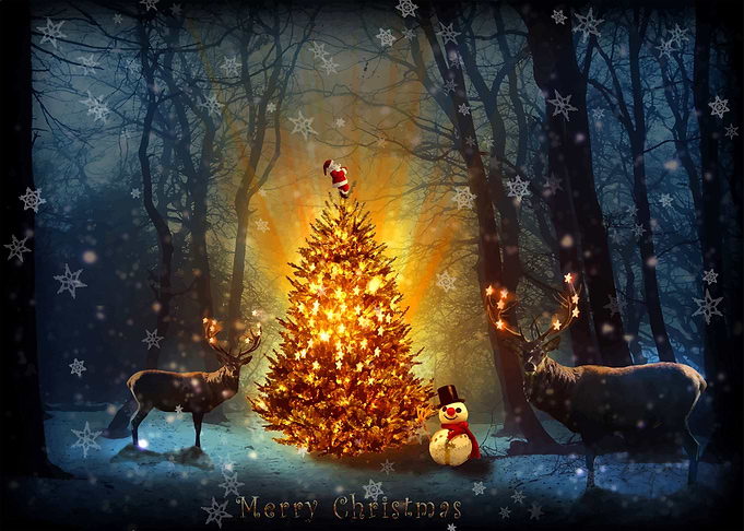 Christmas spirit