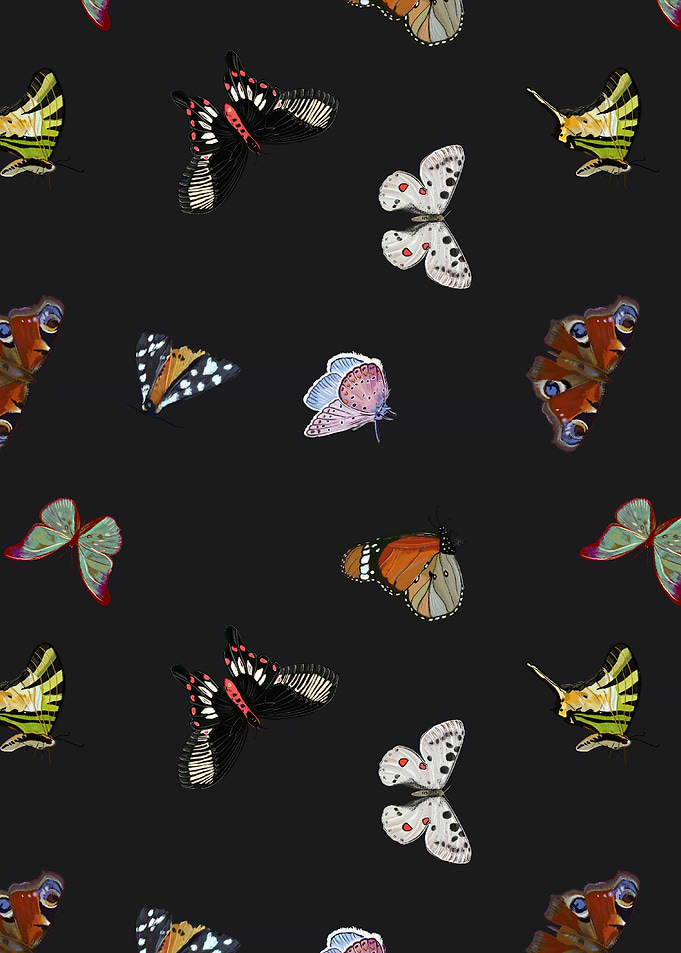 Butterflies