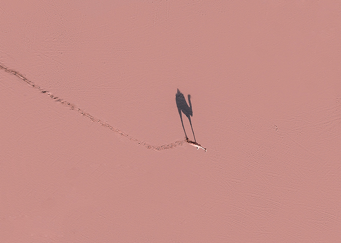 camel pink