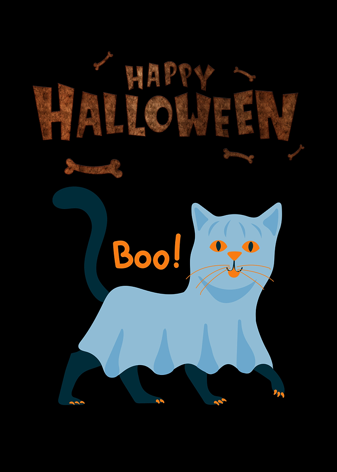 Boo cat