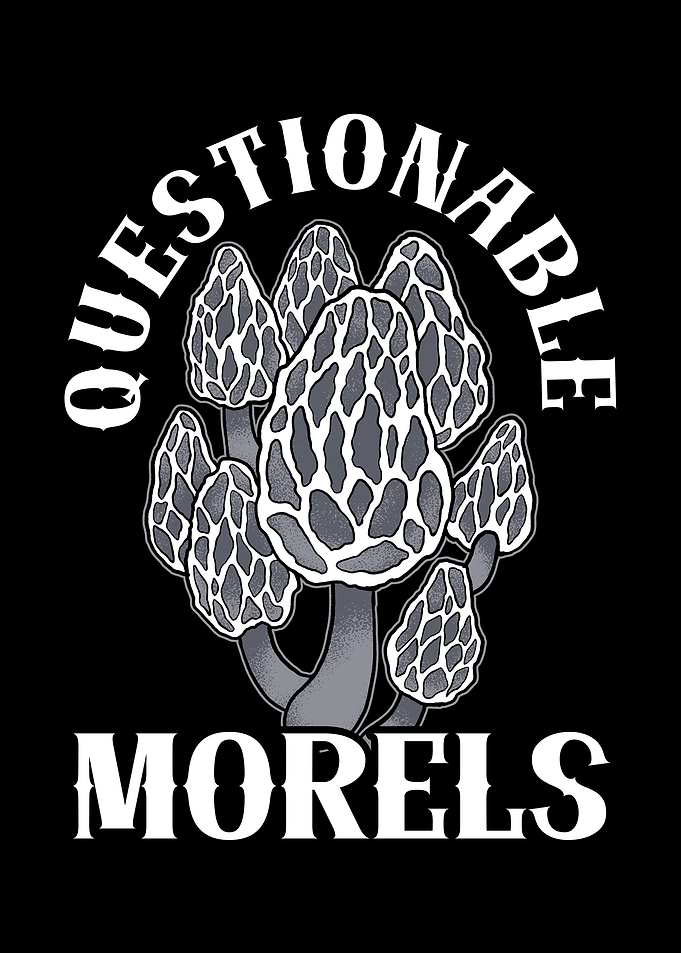 Questionable Morels