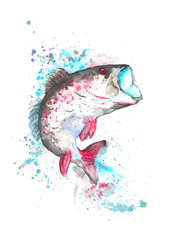 Largemouth bass