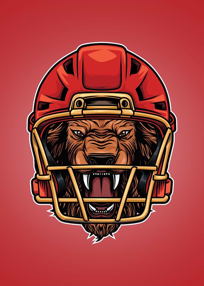 Lion head mascot