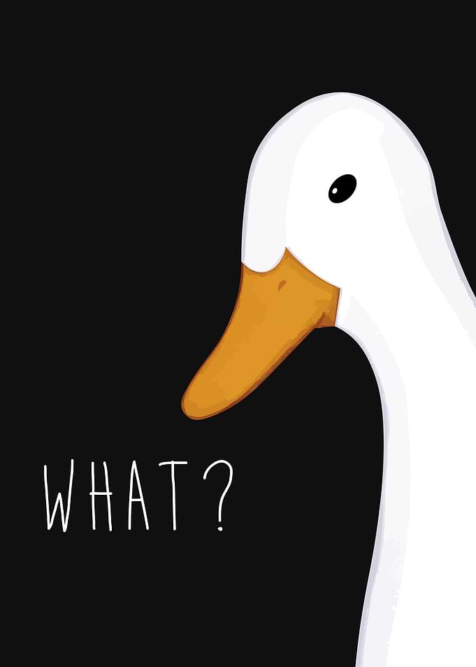 Goose Game Funny
