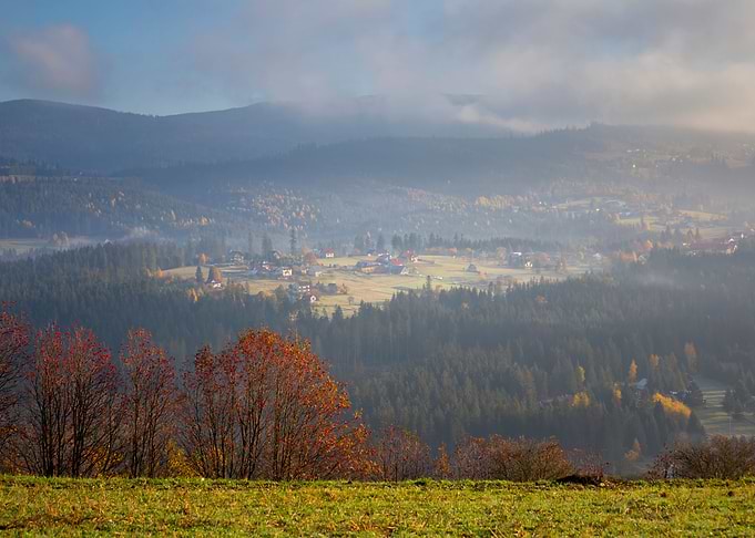 Autumn trees in mountains
