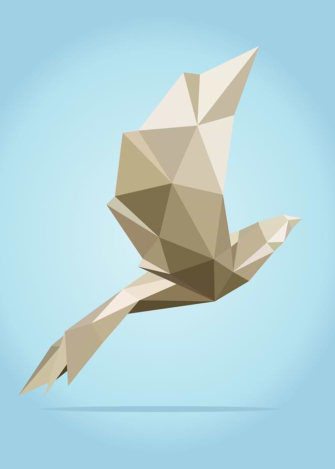 Polygon Pigeon
