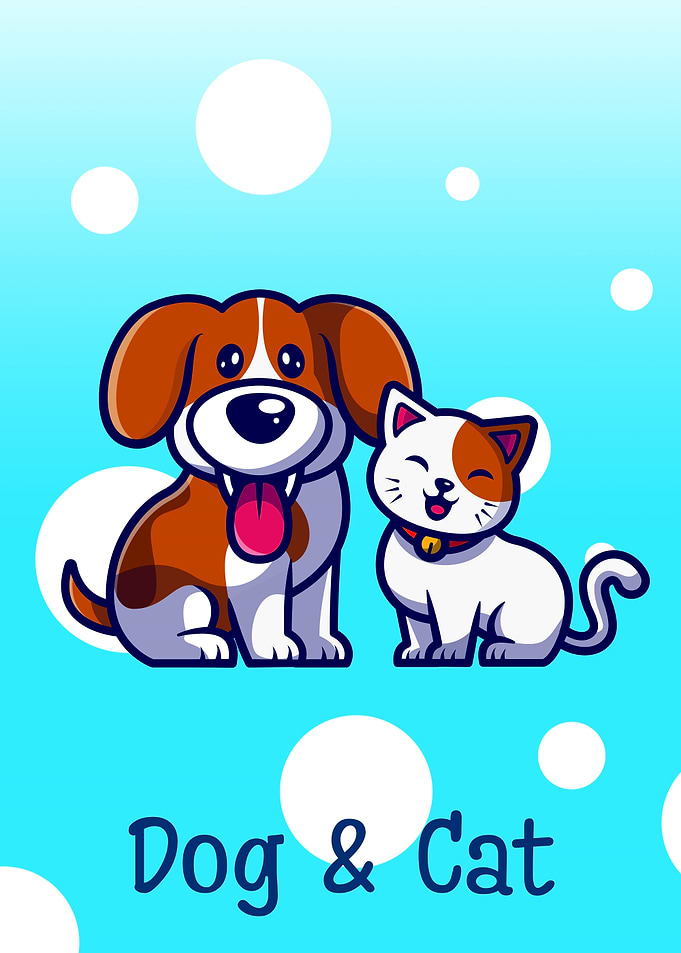 Dog and Cat