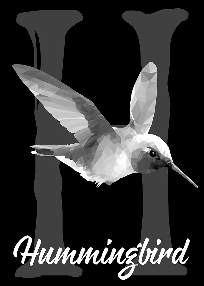 Hummingbird
