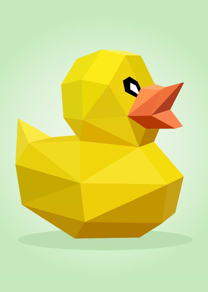 Polygon Duck