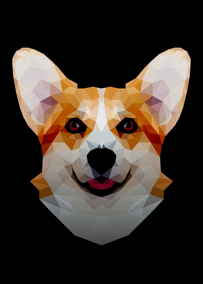 Corgi