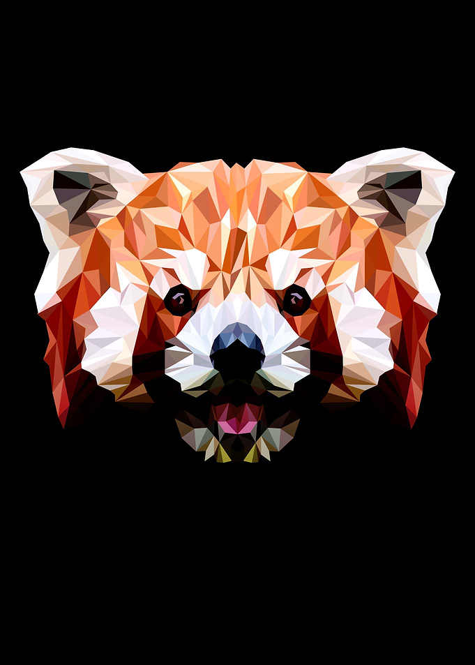 Red Panda