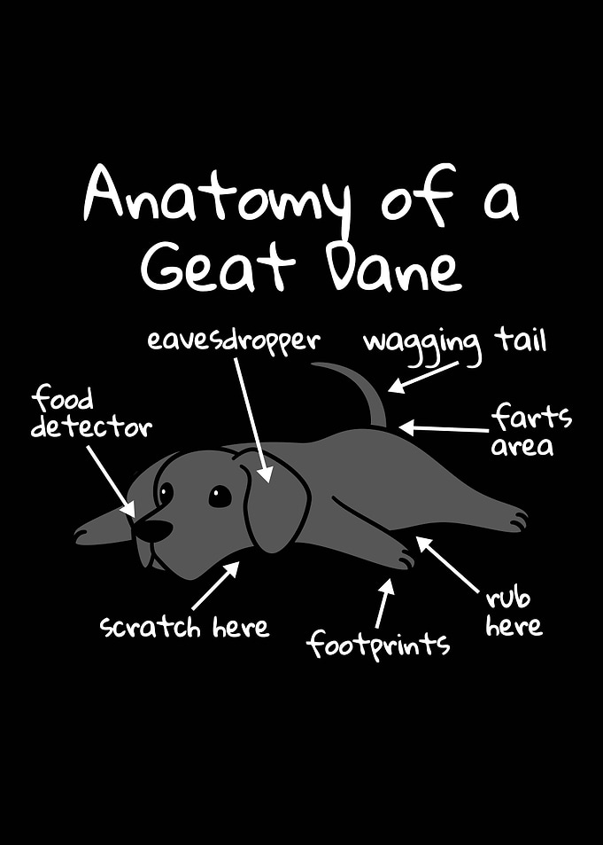 Anatomy Of A Great Dane
