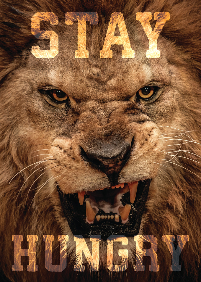 Stay Hungry Lion Hustle