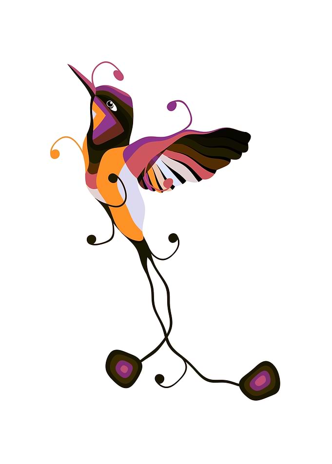 hummingbird2