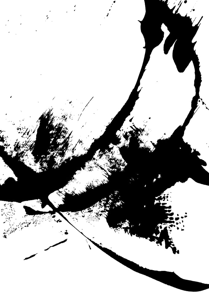 Black white abstract 596b