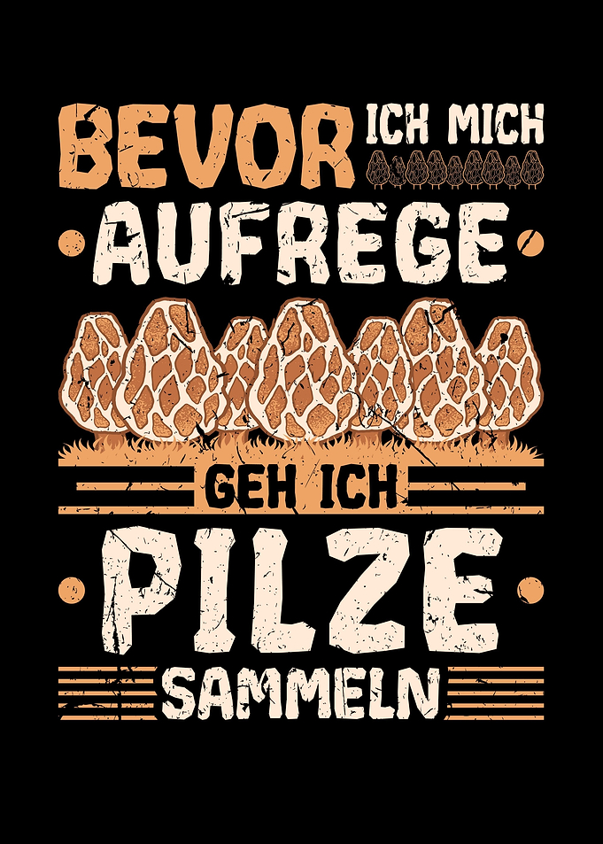 Pilze Sammeln Schwammerl
