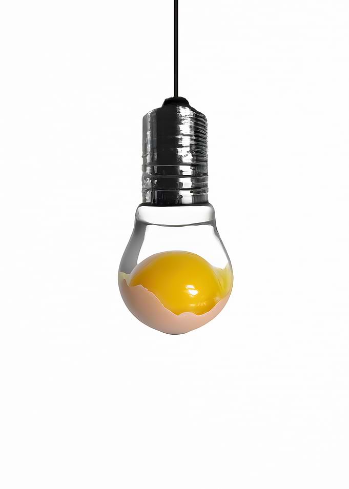 Lighbulb egg yolk albumen