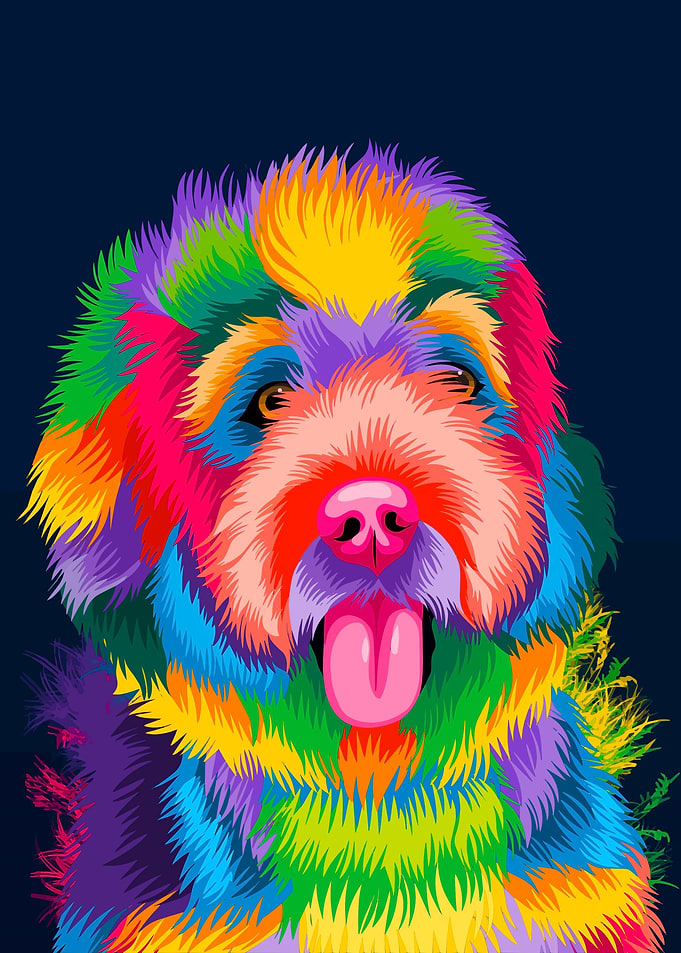 Shichon pop art