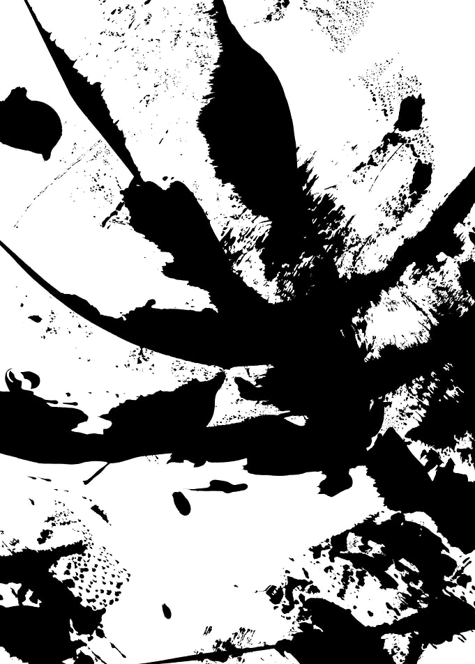 Black White Abstract no73