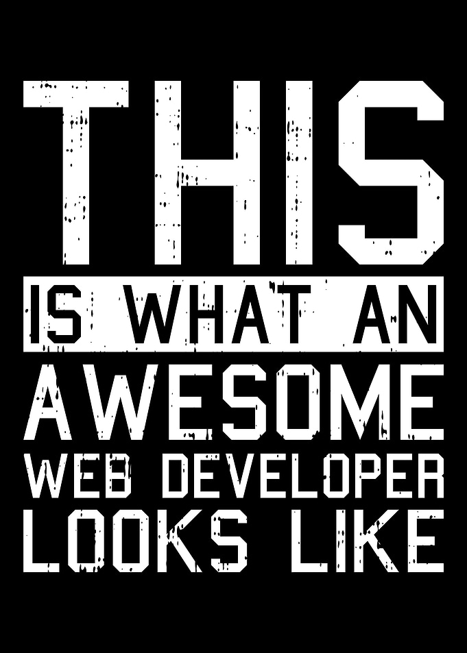 Web Developer