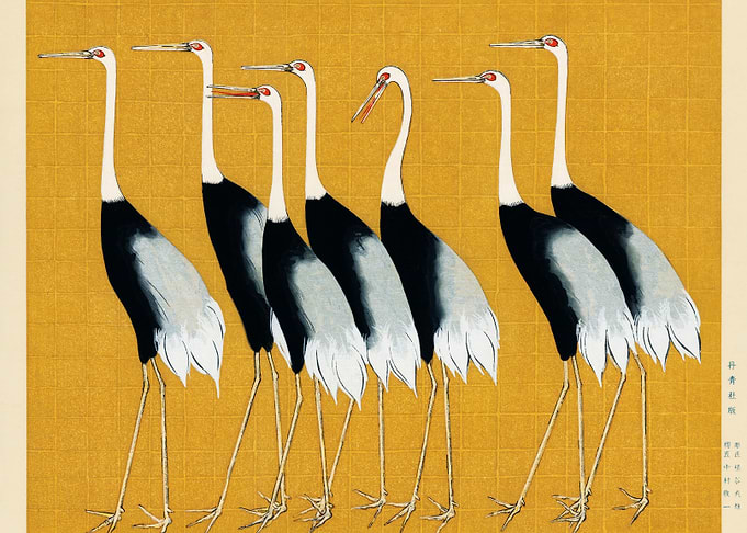 Japanese red crown crane