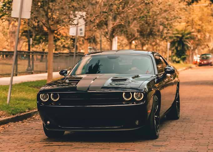American muscle autumn