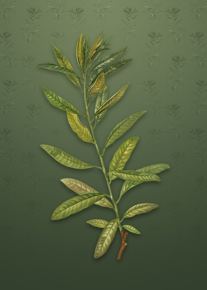 Rhodora on Lunar Green