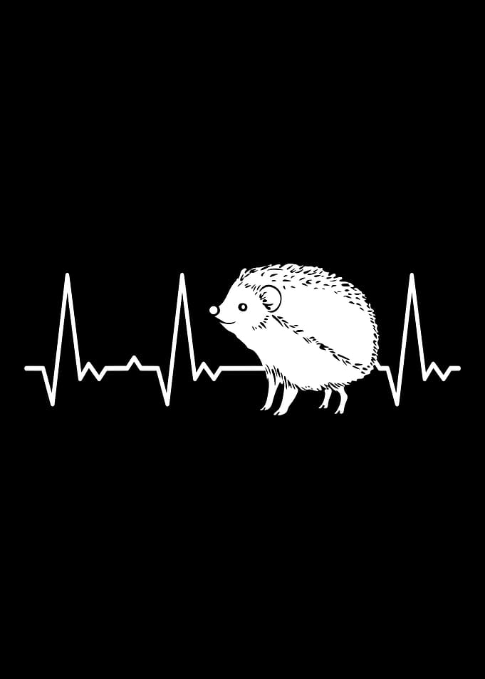 Heartbeat Hedgehog