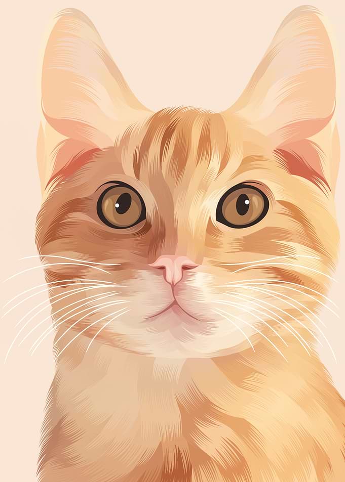 cat 2