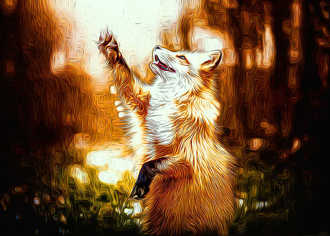 Fox