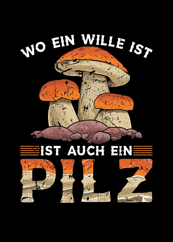 Pilze Sammeln Steinpilz