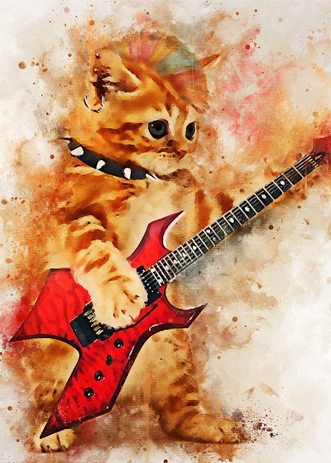 i am a rock star